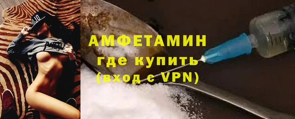 трава Пионерский