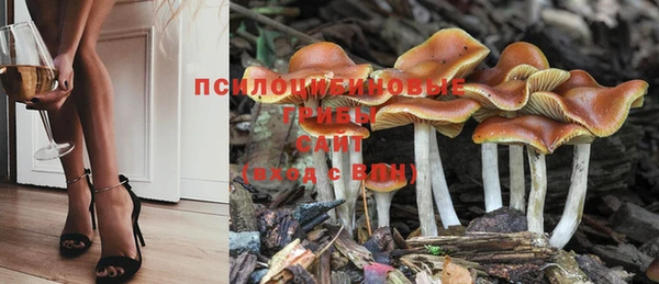 мдма Магас