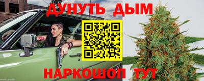 spice Камышлов