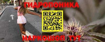 spice Камышлов