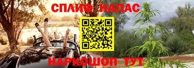 spice Камышлов