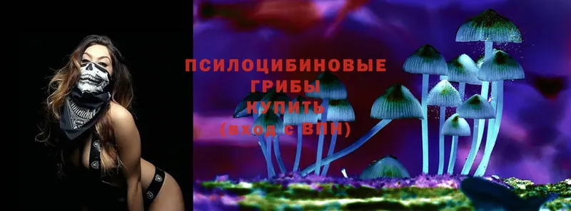 Псилоцибиновые грибы мухоморы  продажа наркотиков  Ногинск 