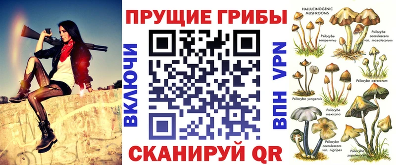 Псилоцибиновые грибы Psilocybine cubensis  сайты даркнета формула  Ногинск  хочу наркоту 