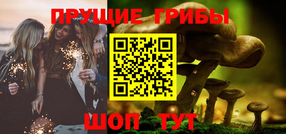 Ногинск  Псилоцибиновые грибы мухоморы  Вход с VPN 