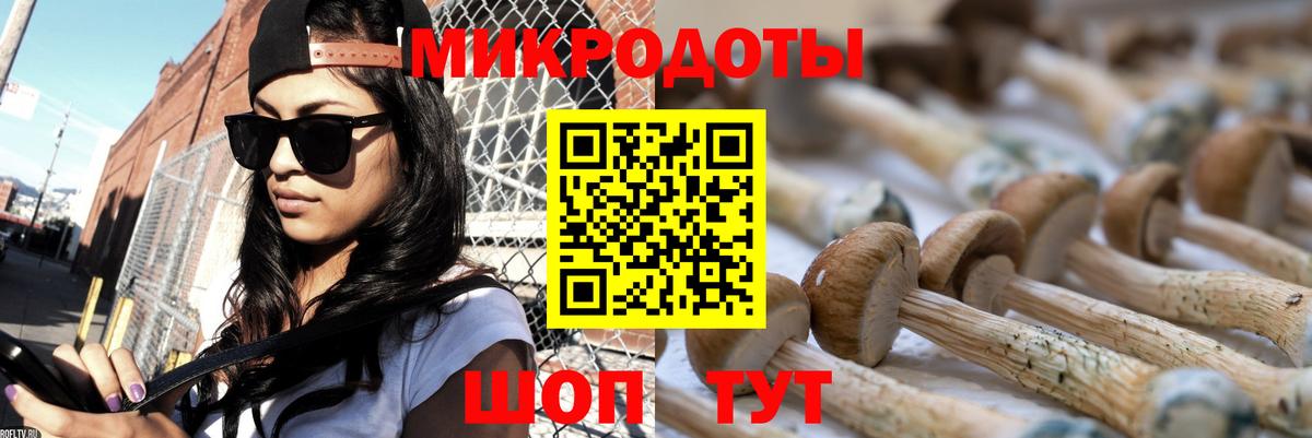 Псилоцибиновые грибы GOLDEN TEACHER  Ногинск  Галлюциногенные грибы Psilocybe 